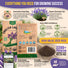 English Lavender Seeds Pack 2.5G