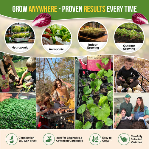 10 Lettuce & Salad Greens Seeds Variety Pack