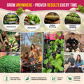 10 Rare Beet Seeds Variety Pack