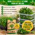 Italian Parsley Seeds Pack 5G