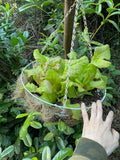 Review image 1