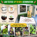 Anise Seeds Pack 5G