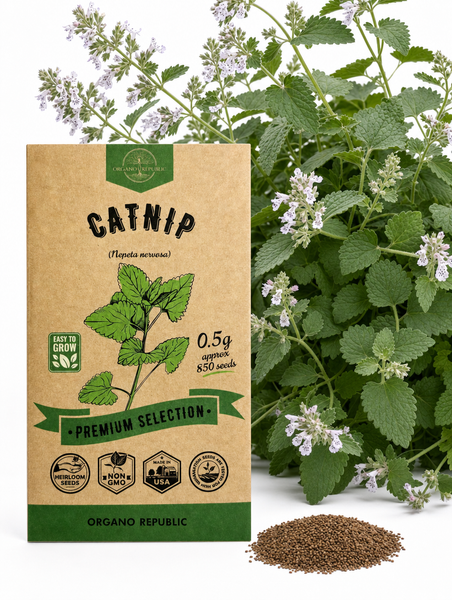 Catnip Seeds