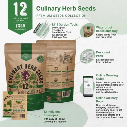 12 Culinary Herbs Seeds Variety Pack - 7,355+ Heirloom, Non - GMO, Herbs Seeds for Outdoor and Indoor Home Gardening - Organo Republic