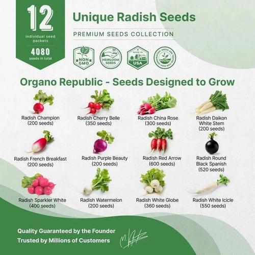 12 Radish Seeds Variety Pack - Over 4080 Non - GMO, Heirloom Seeds - Organo Republic