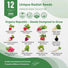 12 Radish Seeds Variety Pack - Over 4080 Non - GMO, Heirloom Seeds - Organo Republic
