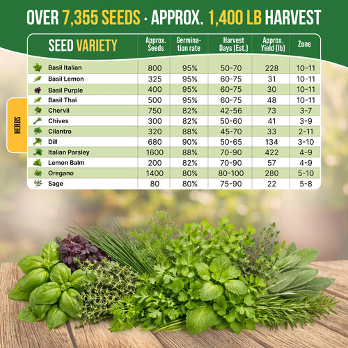 growing herbs seeds or plants Organo Republic - 12 Culinary Herb Seeds Varieties