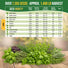 12 Culinary Herbs Seeds Variety Pack