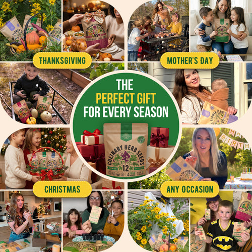 12 Culinary Herbs Seeds Variety Pack