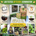 12 Rare Sweet & Mild Pepper Seeds Variety Pack