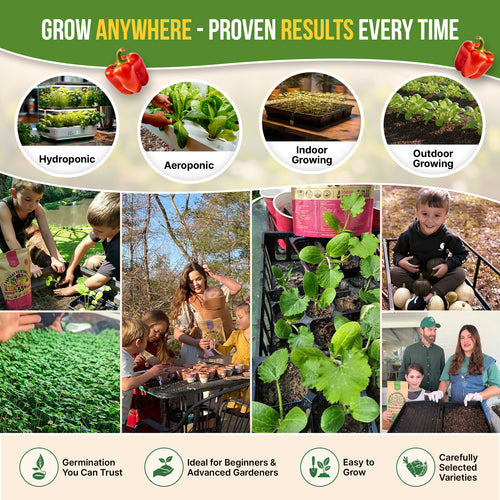 12 Rare Sweet & Mild Pepper Seeds Variety Pack