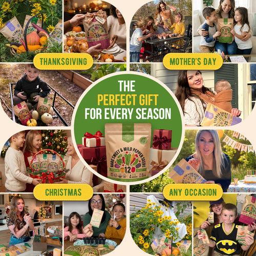 12 Rare Sweet & Mild Pepper Seeds Variety Pack