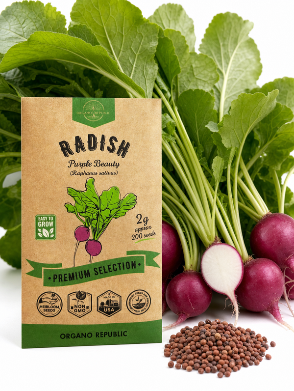 Radish Purple Beauty Seeds