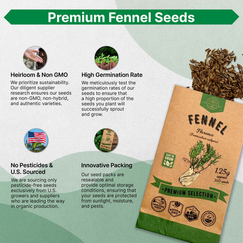 Fennel Florence Seeds Pack 1.25G