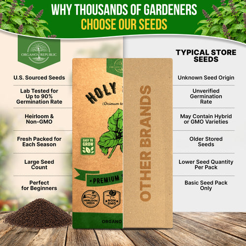 Holy Basil Seeds Pack 0.5G