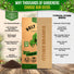 Holy Basil Seeds Pack 0.5G