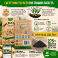 Onion Walla Walla Seeds Pack 1G