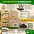Onion Walla Walla Seeds Pack 1G