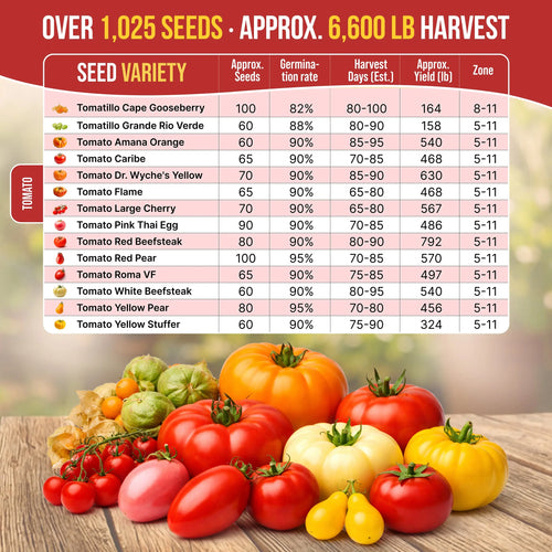 14 Unique Tomato and Tomatillo Variety Pack