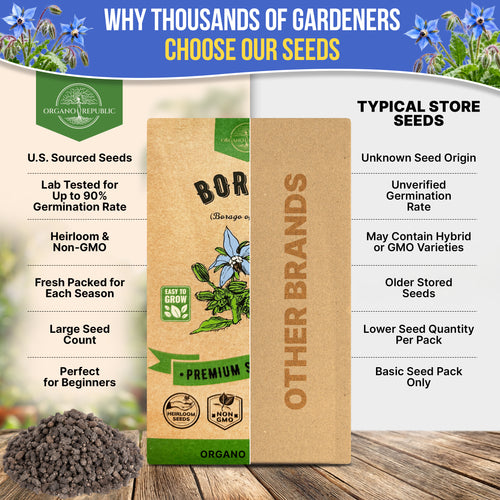 Borage Seeds Pack 1.50G