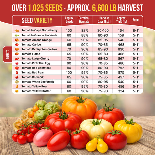 14 Unique Tomato and Tomatillo Variety Pack