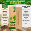 Curled Cress Seeds Pack 5G
