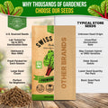 Swiss Chard Ruby Red Seeds Pack 3.75G