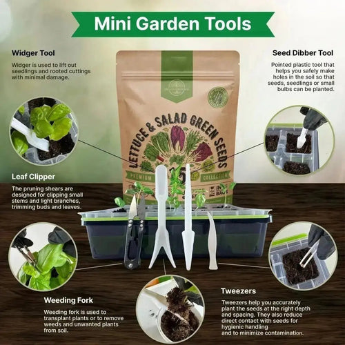 15 Lettuce & Salad Greens Seeds Variety Pack - Over 17,700 Non - GMO, Heirloom Seeds - Organo Republic