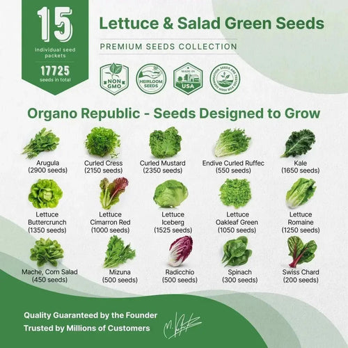 15 Lettuce & Salad Greens Seeds Variety Pack - Over 17,700 Non - GMO, Heirloom Seeds - Organo Republic