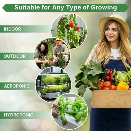 15 Lettuce & Salad Greens Seeds Variety Pack - Over 17,700 Non - GMO, Heirloom Seeds - Organo Republic