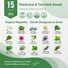 15 Medicinal & Tea Herb Seeds Variety Pack Non - GMO Heirloom Seeds for Planting - Organo Republic