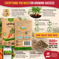 Imperator 58 Carrot Seeds Pack 2G