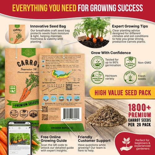 Imperator 58 Carrot Seeds Pack 2G