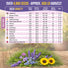 15 Edible Flower Seeds Variety Pack