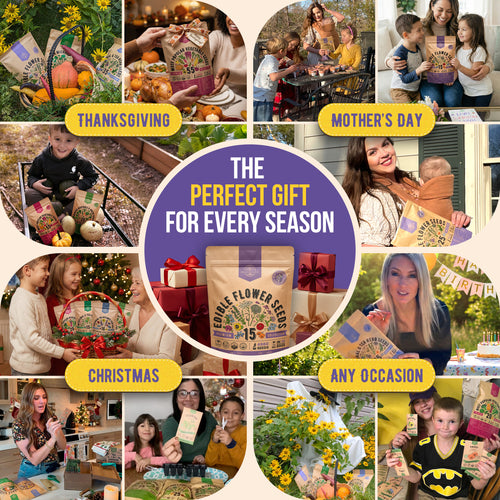 15 Edible Flower Seeds Variety Pack