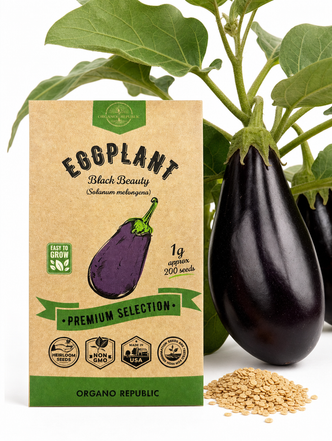 Eggplant Black Beauty Seeds