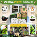 15 Lettuce & Salad Greens Seeds Variety Pack
