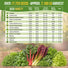15 Lettuce & Salad Greens Seeds Variety Pack