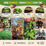 15 Lettuce & Salad Greens Seeds Variety Pack