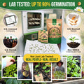 15 Medicinal & Tea Herb Seeds Variety Pack