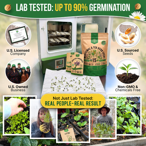 15 Medicinal & Tea Herb Seeds Variety Pack