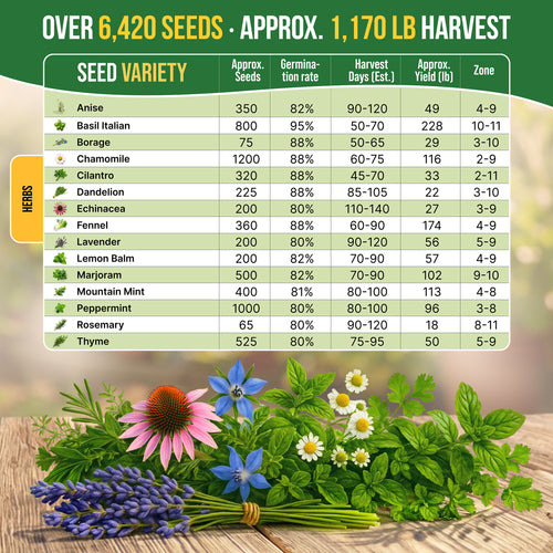 15 Medicinal & Tea Herb Seeds Variety Pack