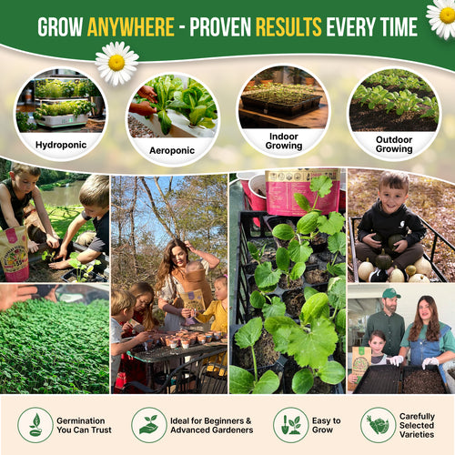 organic herb seeds for planting Organo Republic - 15 Medicinal & Tea Herb Seeds Varieties