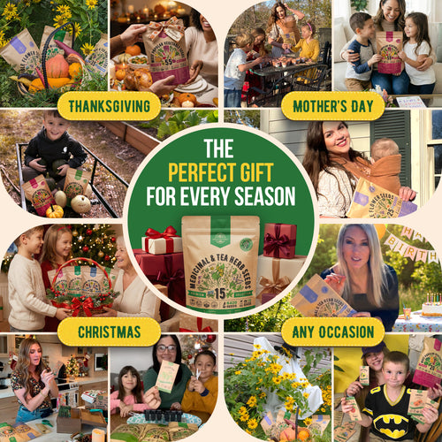 15 Medicinal & Tea Herb Seeds Variety Pack