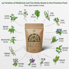 15 Medicinal & Tea Herb Seeds Variety Pack 3300+ Non GMO Heirloom Seeds for Planting in Bulk Individual Seed Packets, Rare Herb Garden Seeds