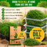 Dill Bouquet Seeds Pack 5G