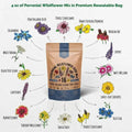 Organo Republic 16 Perennial Wildflower Seeds Mix for Indoor & Outdoors. 100,000+ Non - GMO, Heirloom Wildflower Garden Seeds, 4oz Packet for Growing Wild Flowers to Attract Bees, Butterflies & Birds - Organo Republic