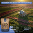 16 Perennial Wildflower Seeds Mix Organo Republic