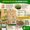 Anise Seeds Pack 5G
