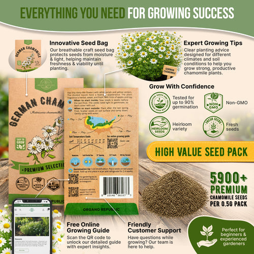 German Chamomile Seeds Pack 0.5G